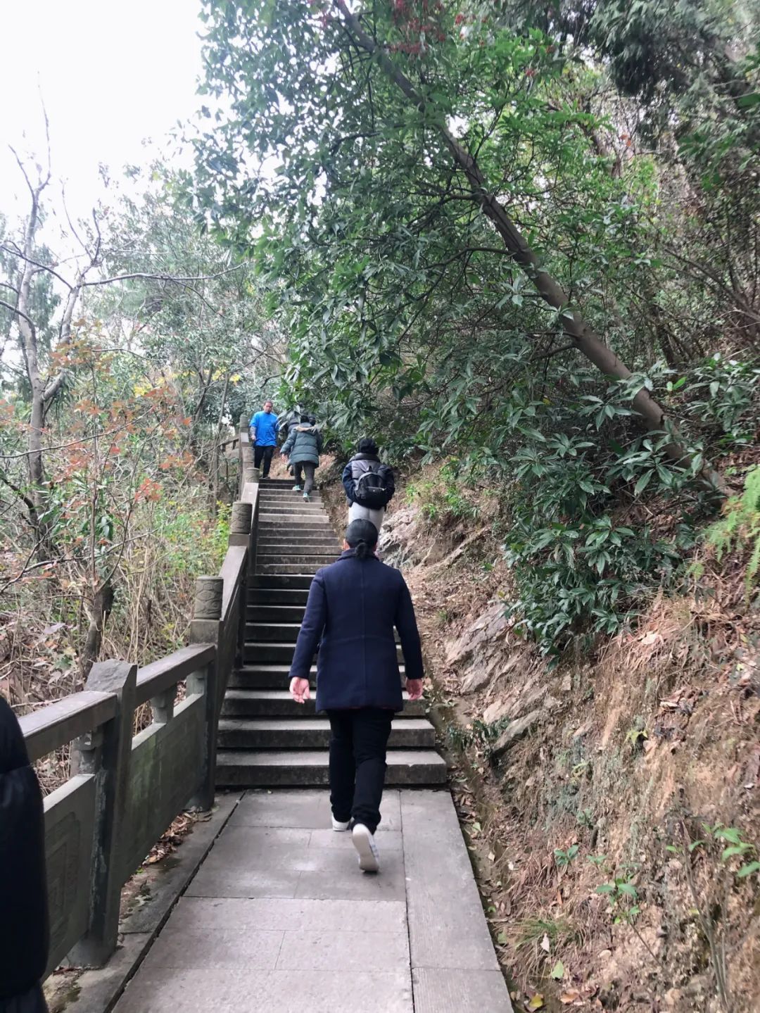 图片 3.jpg